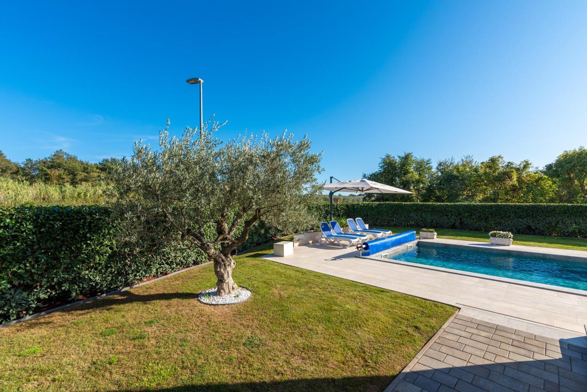 Apartment Lunne Novigrad Istria Εξωτερικό φωτογραφία