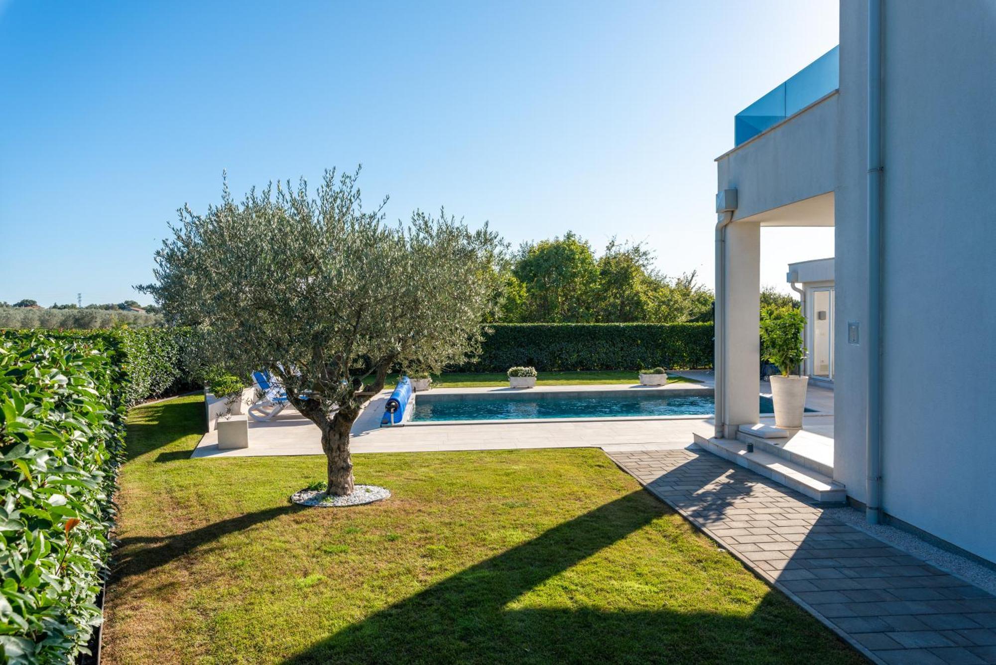 Apartment Lunne Novigrad Istria Εξωτερικό φωτογραφία